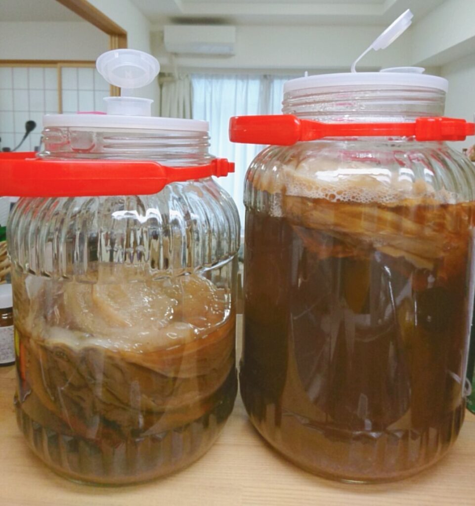 How to Make and Maintain a SCOBY Hotel